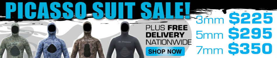picasso suit sale BANNER(copy)